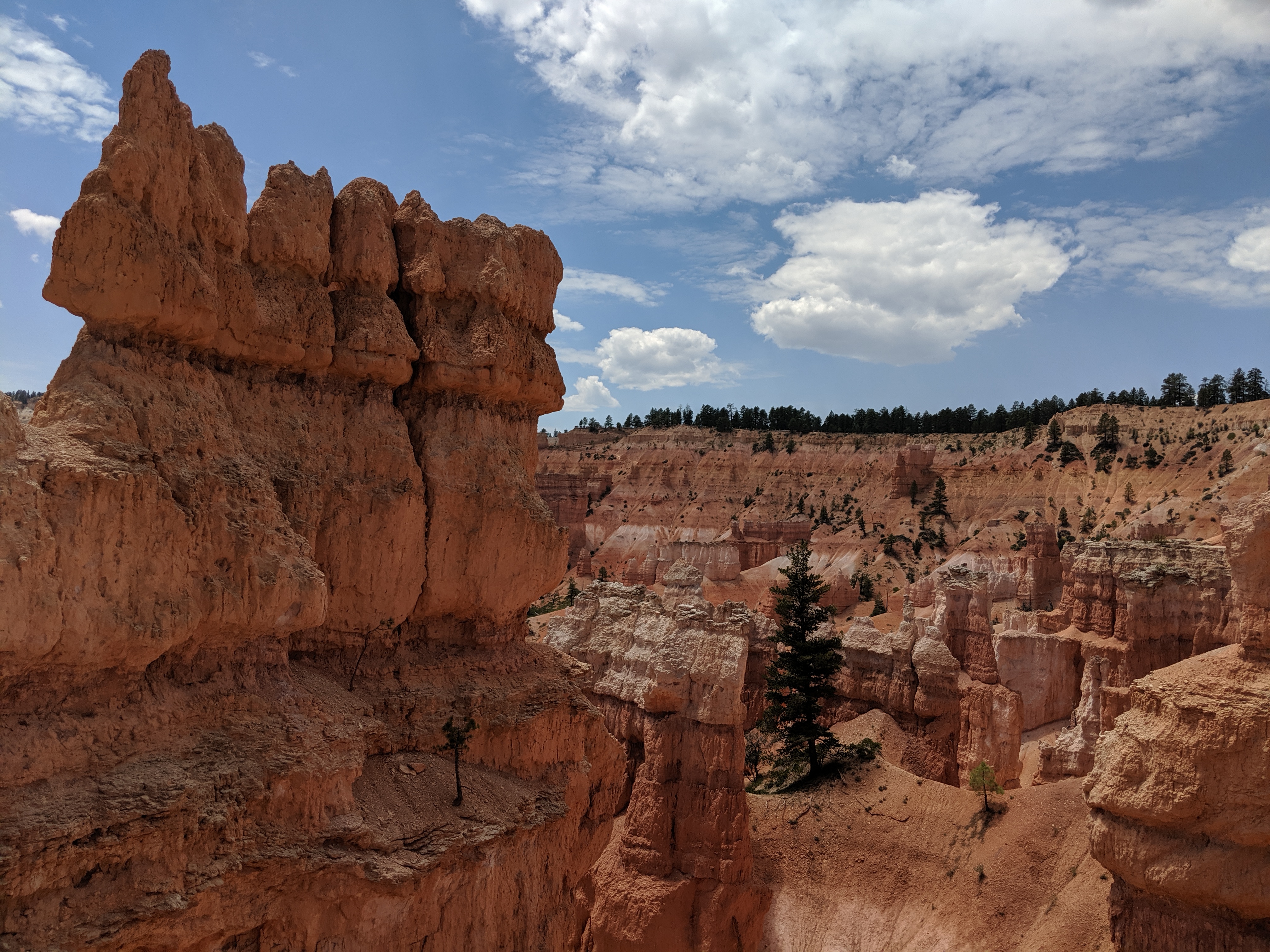 Hoodoos i Bryce Canyon