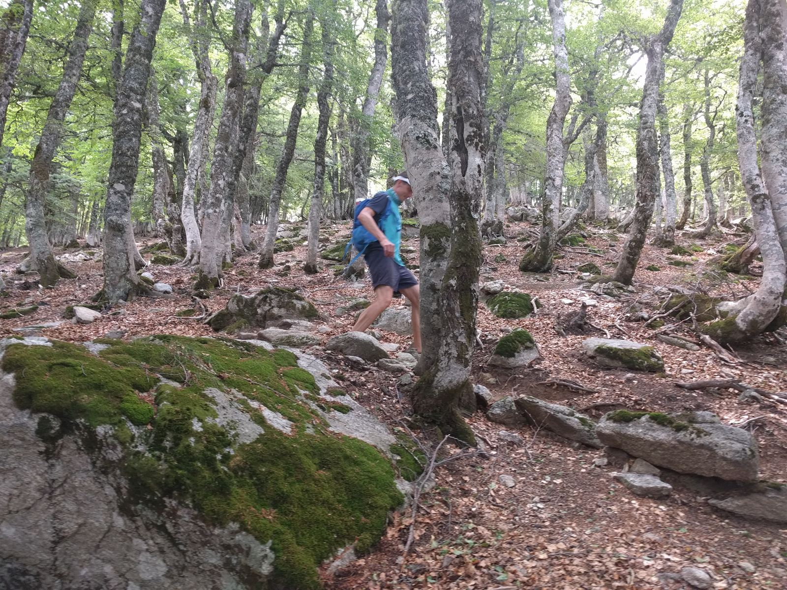 Stiglöpning i skogen efter Col de Verde