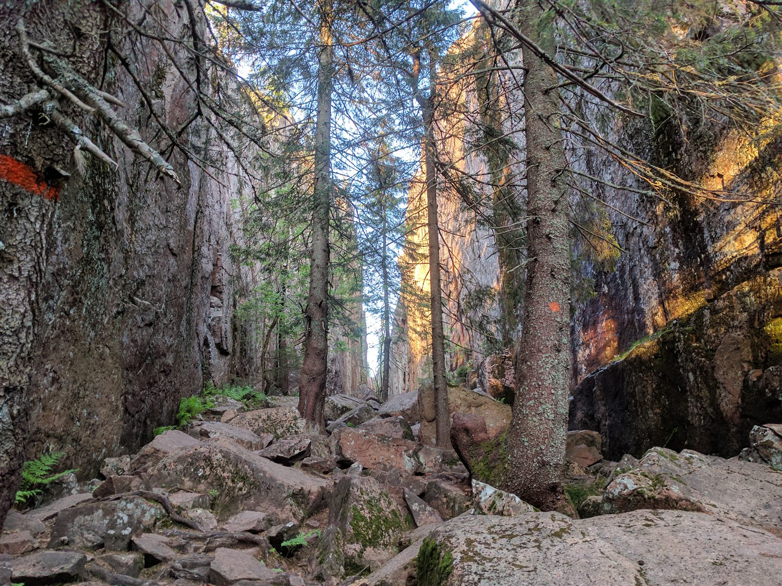 Ingången till Slåttdalsskrevan i Skuleskogens nationalpark