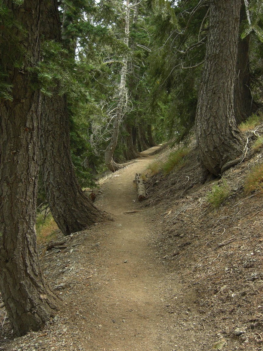 Pacific Crest Trail mot Mt Baden-Powell