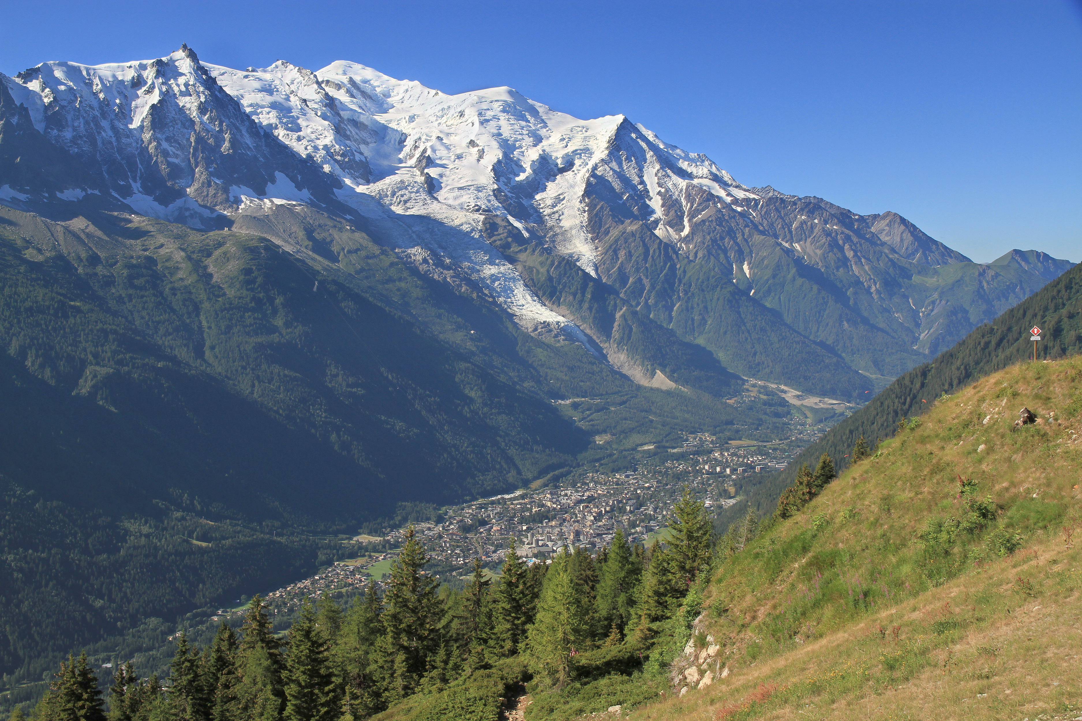 Utsikt över Chamonix från La Flegere